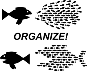 Datei:Organize-fish-picture-md.png