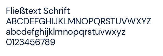 LocalZero Hausschrift DM Sans Regular