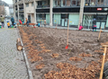Vorschaubild der Version vom 11:25, 27. Mai 2026
