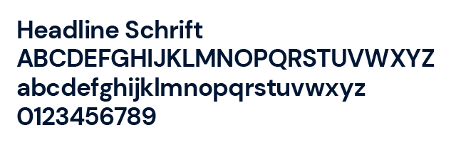 LocalZero Hausschrift DM Sans Bold