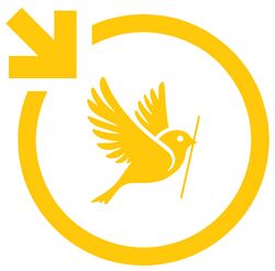 Logo für Klimaentscheide Ulm und Neu-Ulm